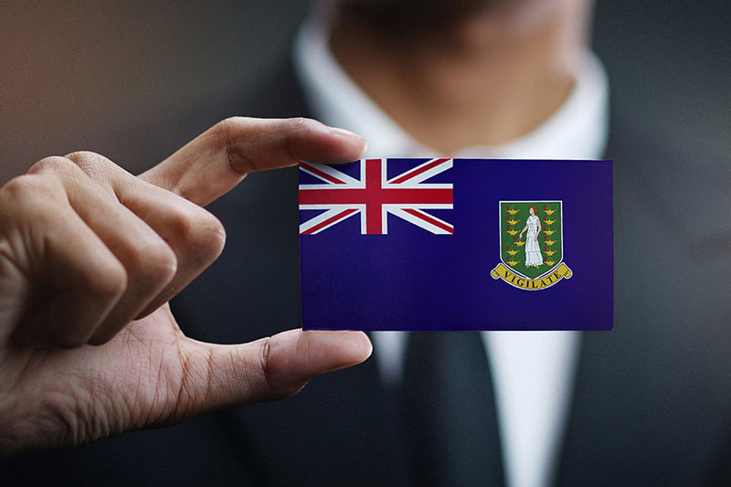 BVI-公司
